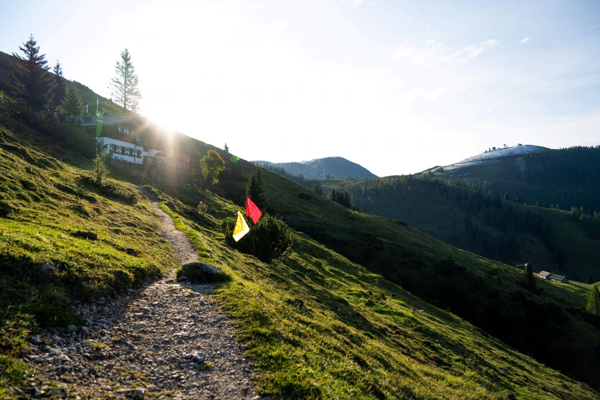 Alpin Team Trail